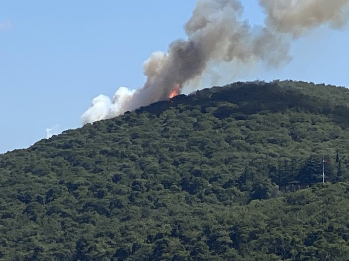 Heybeliada'daki orman yangını kontrol altına alındı